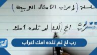 رب اخ لم تلده امك اعراب