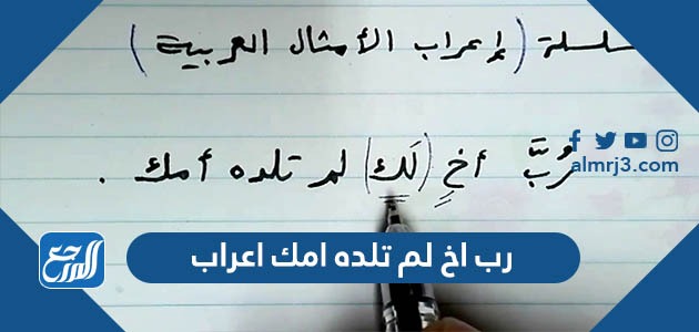 رب اخ لم تلده امك اعراب