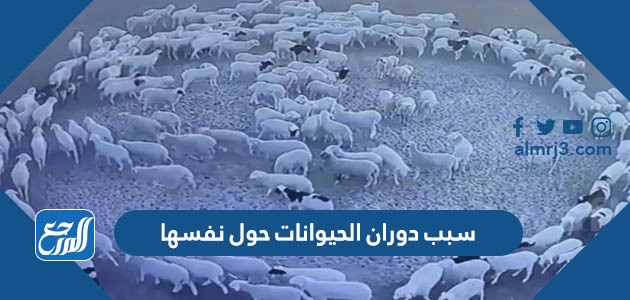سبب دوران الحيوانات حول نفسها