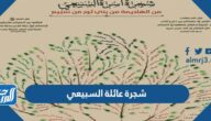 شجرة عائلة السبيعي كاملة