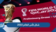 شكل كأس العالم 2022 بالصور