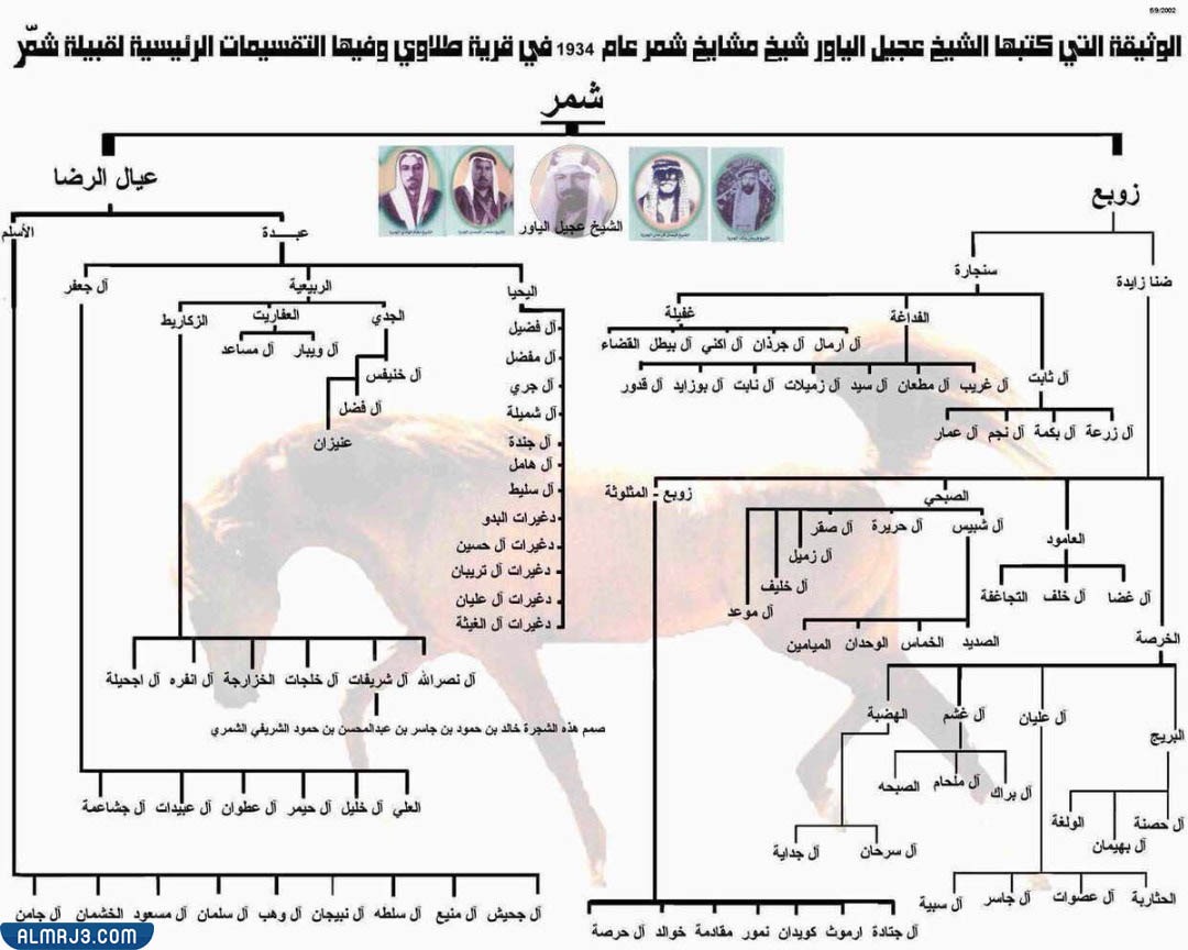 شجرة الفداغة من شمر