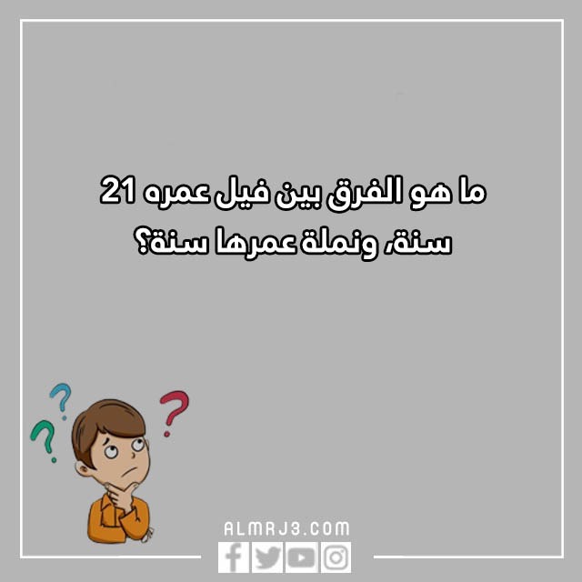 صور اسئلة مسابقات ترفيهية