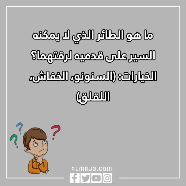 صور اسئلة مسابقات مع خيارات