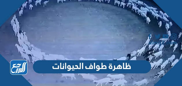 ظاهرة طواف الحيوانات