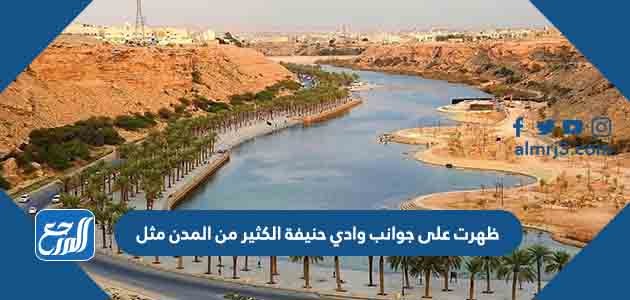 ظهرت على جوانب وادي حنيفة الكثير من المدن مثل ٠٠٠٠٠