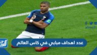 كم عدد اهداف مبابي في كاس العالم 2022