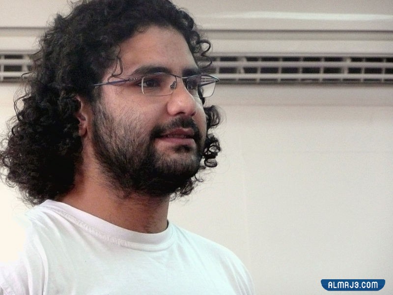 علاء عبد الفتاح السيرة الذاتية