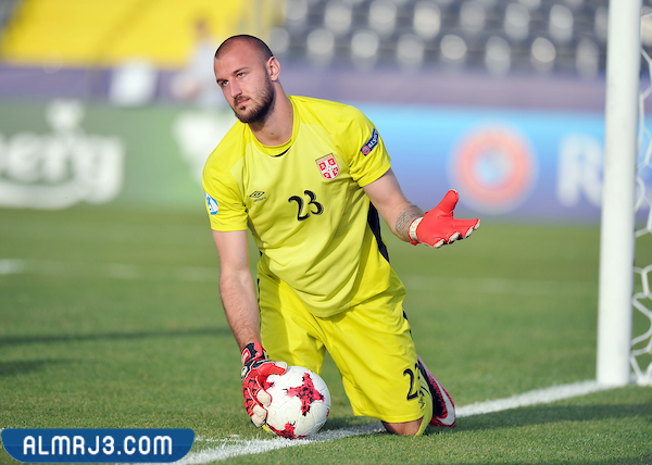 فانيا ميلينكوفيتش سافيتش 