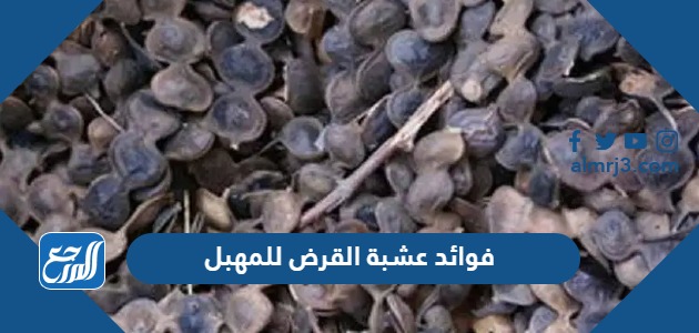 فوائد عشبة القرض للمهبل