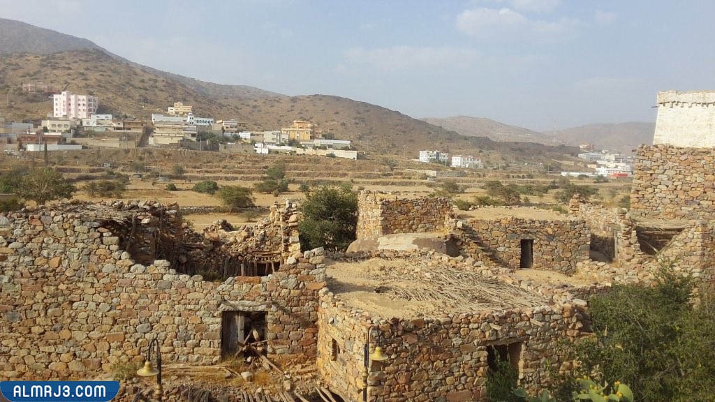 قرية هجرة المشاحنة في صور