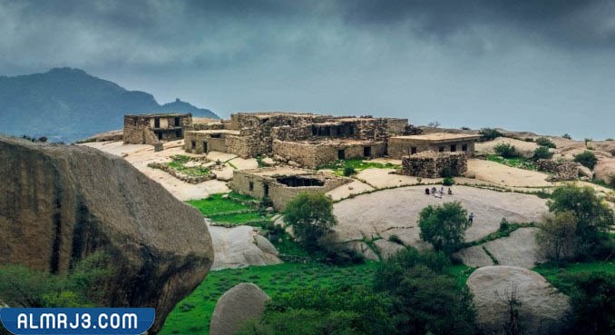 قرية هجرة المشاحنة في صور