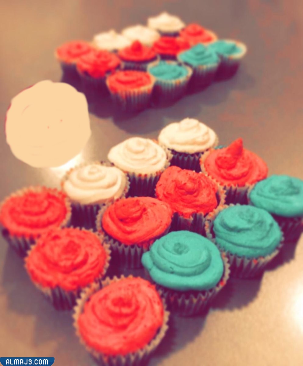 كب كيك العيد الوطني العماني