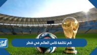 كم تكلفة كاس العالم في قطر بالدولار