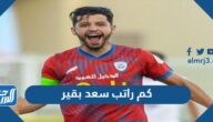 كم راتب سعد بقير