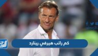 كم راتب هيرفي رينارد مدرب المنتخب السعودي