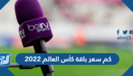 كم سعر باقة كأس العالم 2022 الكويت والسعودية