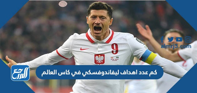 كم عدد اهداف ليفاندوفسكي في كاس العالم