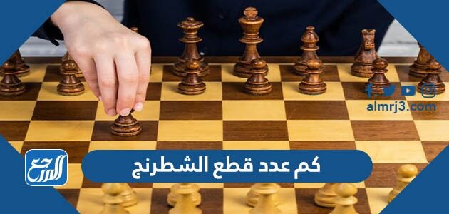 كم عدد قطع الشطرنج