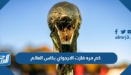 كم مره فازت الارجواي بكاس العالم