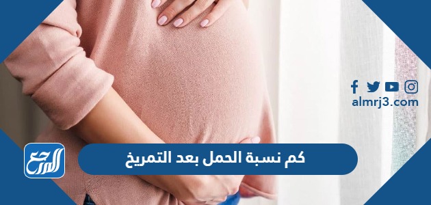 كم نسبة الحمل بعد التمريخ