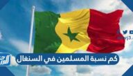 كم نسبة المسلمين في السنغال 2025