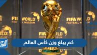 كم يبلغ وزن كأس العالم 2022 لكرة القدم