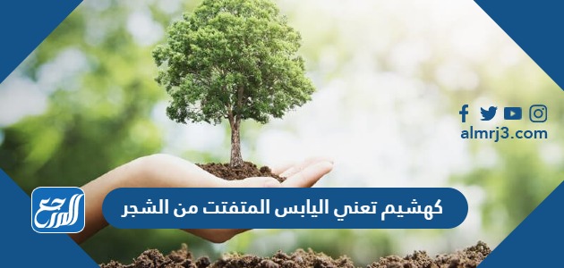 كهشيم تعني اليابس المتفتت من الشجر