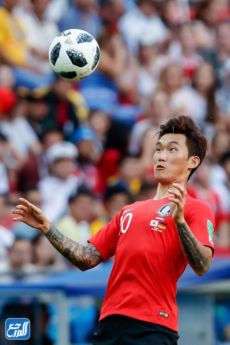 كوام تاي هي السيرة الذاتية