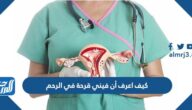 كيف اعرف أن فيني قرحة في الرحم