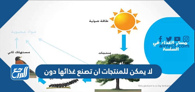 لا يمكن للمنتجات ان تصنع غذائها دون