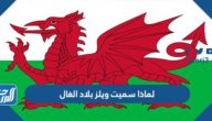 لماذا سميت ويلز بلاد الغال