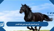 ما معنى الحصان الاسود في كرة القدم