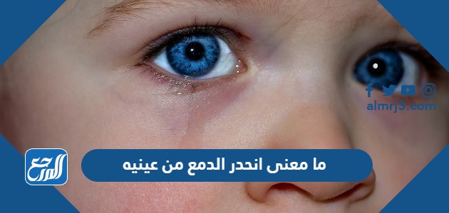 ما معنى انحدر الدمع من عينيه