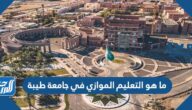 ما هو التعليم الموازي في جامعة طيبة