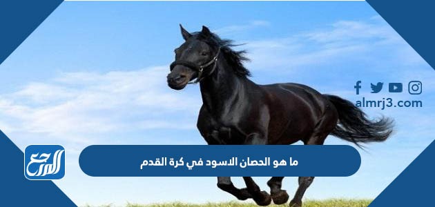 ما هو الحصان الاسود في كرة القدم