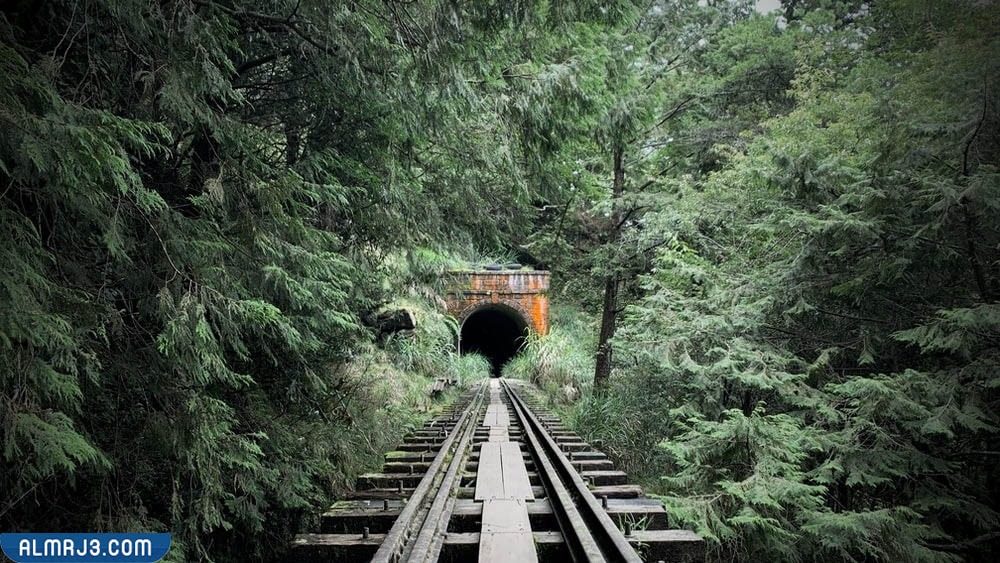 اين اختفى قطار زانيتي