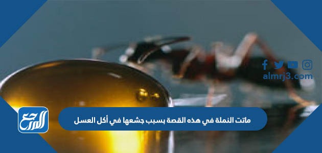ماتت النملة في هذه القصة بسبب جشعها في أكل العسل