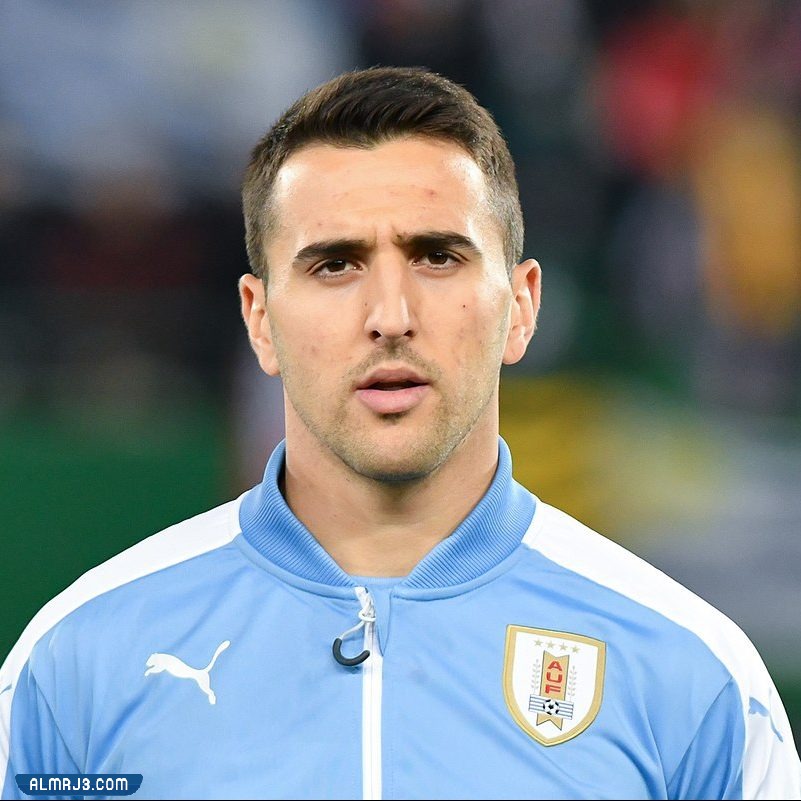 ماتياس فيتشينو السيرة الذاتية