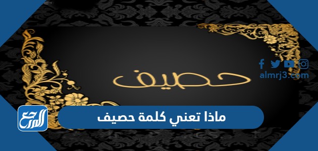 ماذا تعني كلمة حصيف