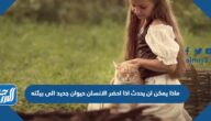 ماذا يمكن ان يحدث اذا احضر الانسان حيوان جديد الى بيئته