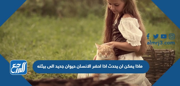 ماذا يمكن ان يحدث اذا احضر الانسان حيوان جديد الى بيئته