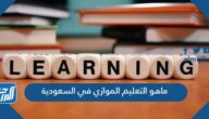 ماهو التعليم الموازي في السعودية