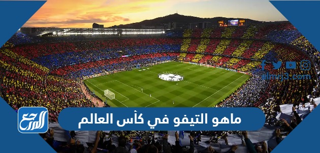 ماهو التيفو في كأس العالم