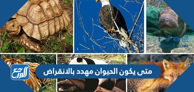 متى يكون الحيوان مهدد بالانقراض