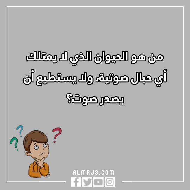 مسابقات اسئلة للاطفال