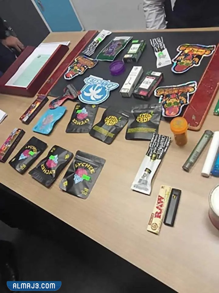 مضبوطات منة شلبي في مطار القاهرة بالصور