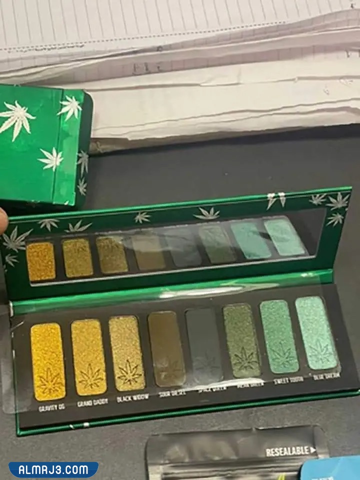 مضبوطات منة شلبي في مطار القاهرة بالصور