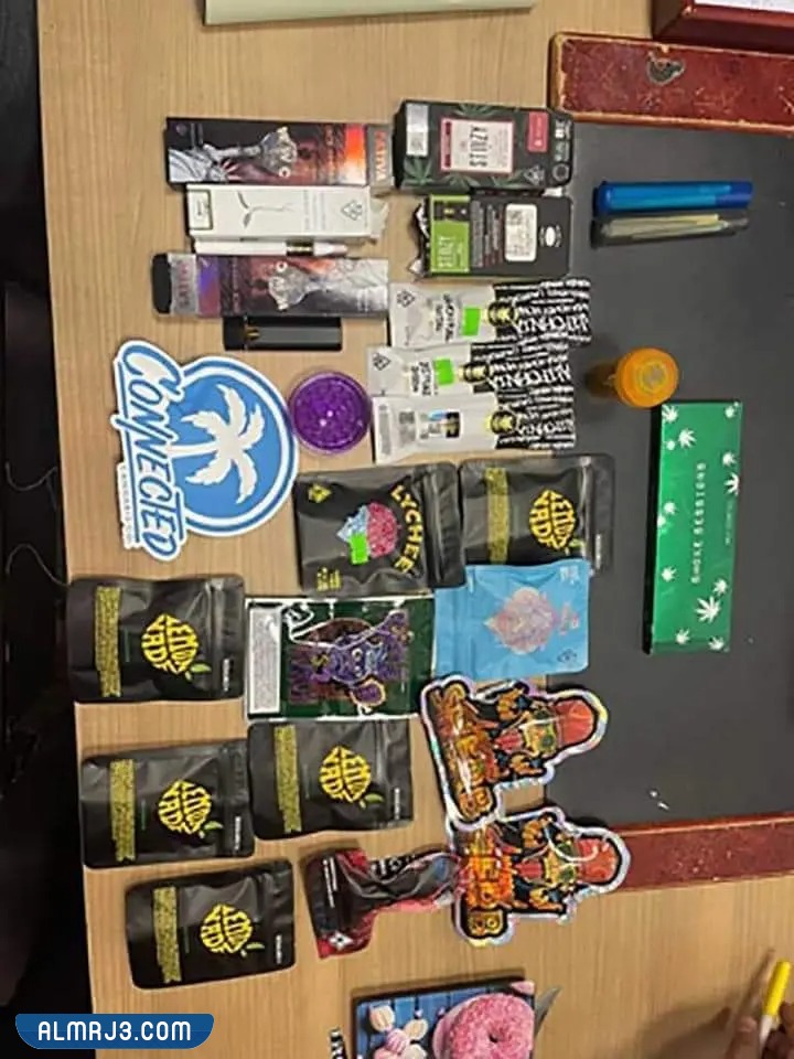 مضبوطات منة شلبي في مطار القاهرة بالصور