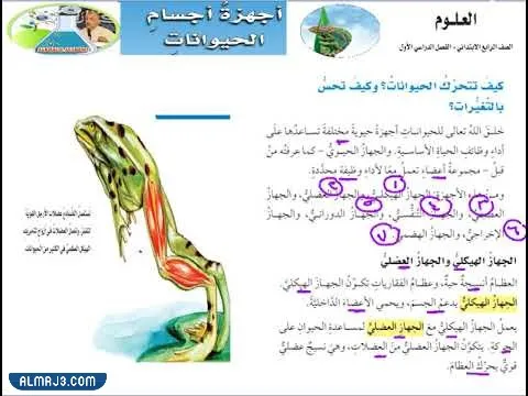مطويات علوم رابع ابتدائي عن أجهزة أجسام الحيوانات
